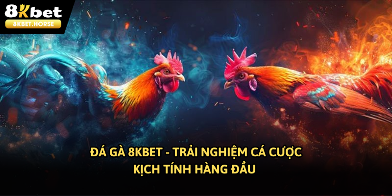 Đá gà 8KBET - Trải nghiệm cá cược kịch tính hàng đầu